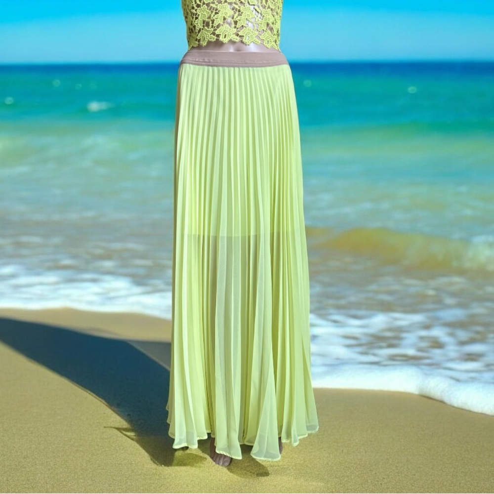 BCBGMaxAzria pleated Maxi Skirt 🌼